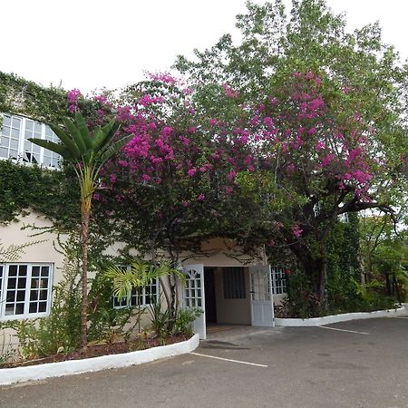Hotel Mangos Jamaica Adults Only Falmouth Exteriér fotografie