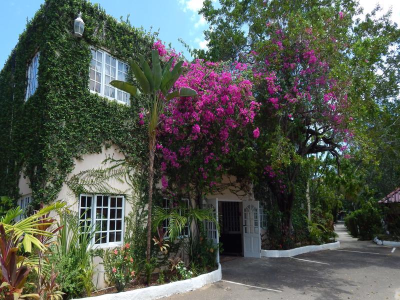 Hotel Mangos Jamaica Adults Only Falmouth Exteriér fotografie